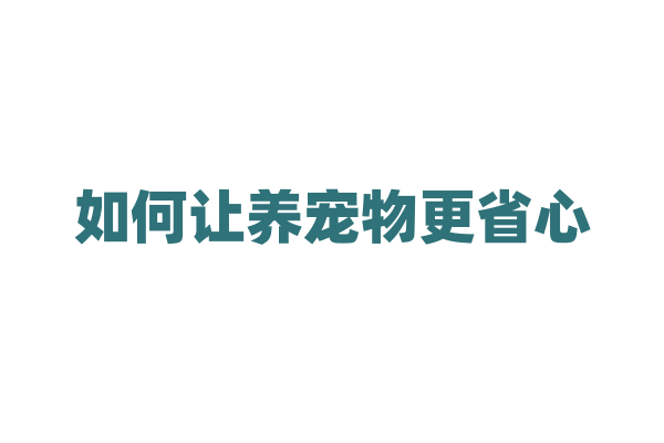 如何让养宠物更省心？