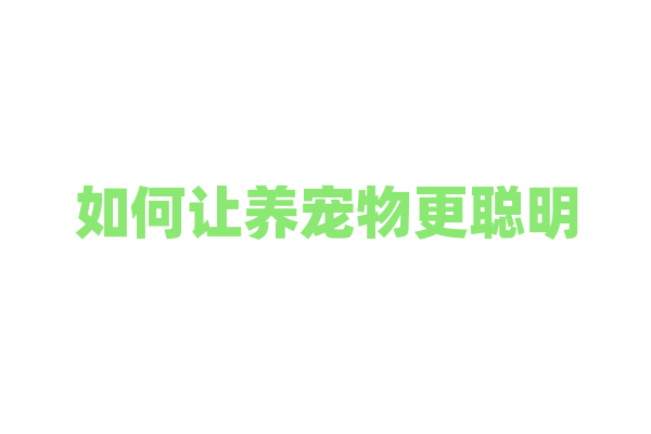 如何让养宠物更聪明？