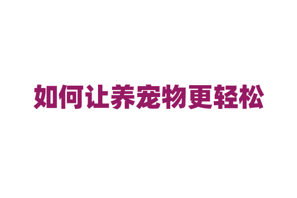 如何让养宠物更轻松？
