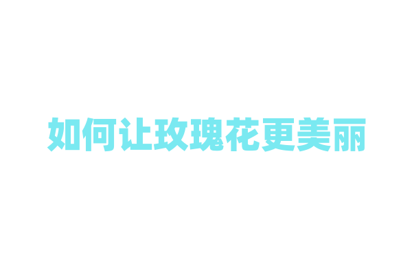 如何让玫瑰花更美丽？