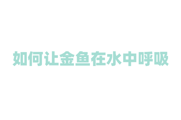 如何让金鱼在水中呼吸？