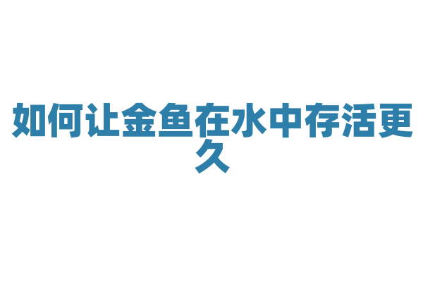 如何让金鱼在水中存活更久？