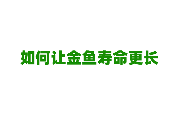 如何让金鱼寿命更长