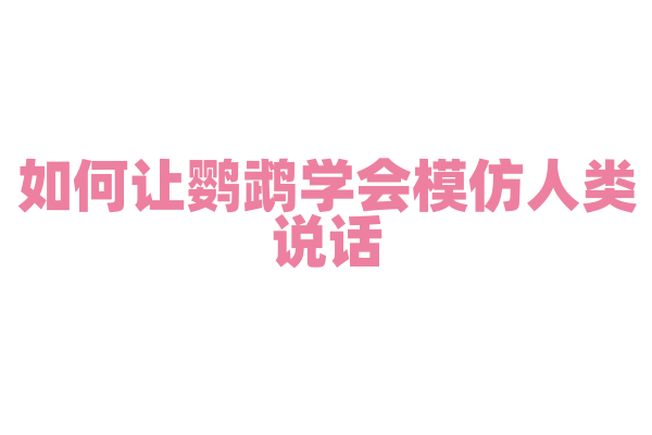 如何让鹦鹉学会模仿人类说话？