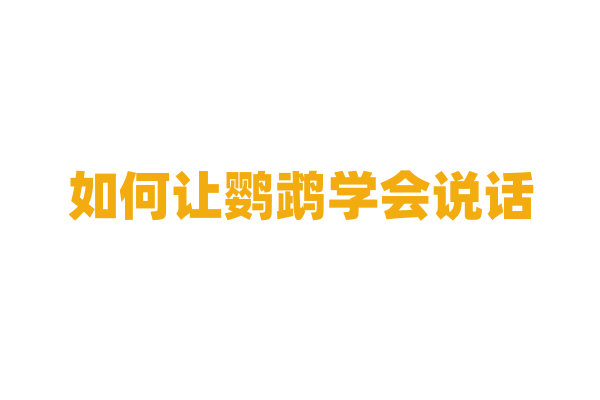 如何让鹦鹉学会说话