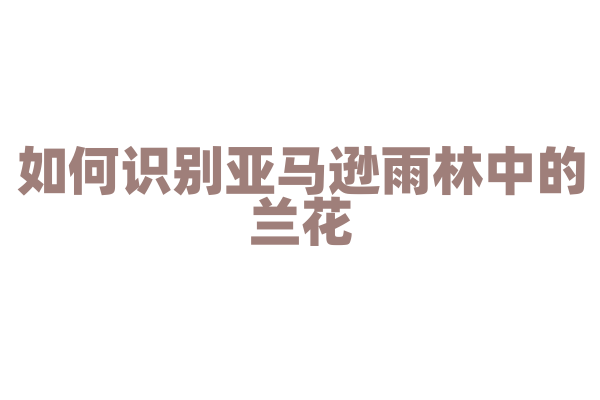 如何识别亚马逊雨林中的兰花