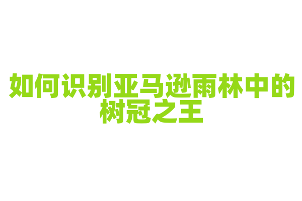 如何识别亚马逊雨林中的树冠之王？