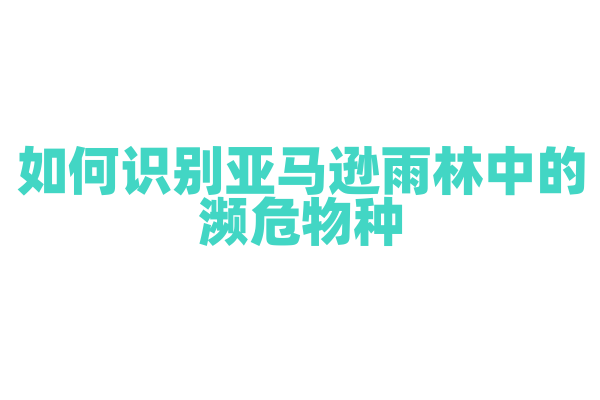 如何识别亚马逊雨林中的濒危物种