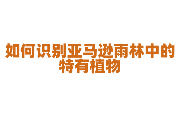 如何识别亚马逊雨林中的特有植物?