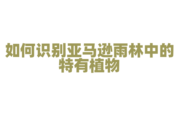 如何识别亚马逊雨林中的特有植物？