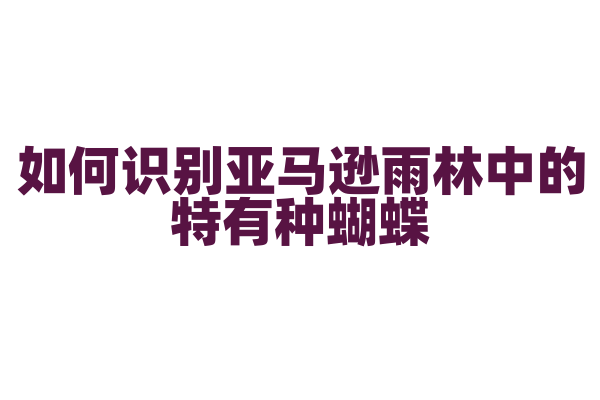 如何识别亚马逊雨林中的特有种蝴蝶