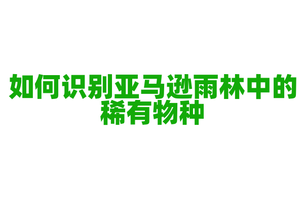 如何识别亚马逊雨林中的稀有物种？