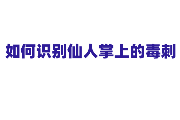 如何识别仙人掌上的毒刺？