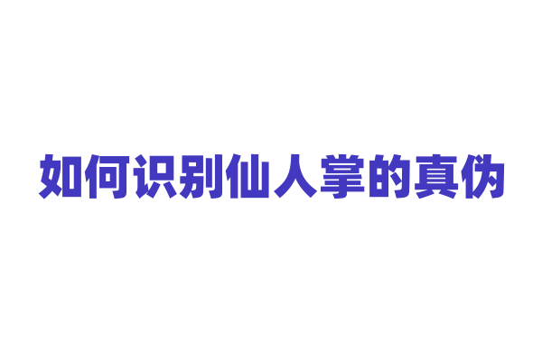 如何识别仙人掌的真伪