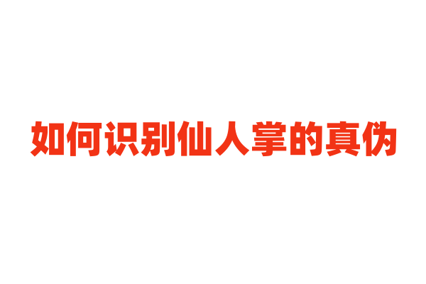 如何识别仙人掌的真伪？