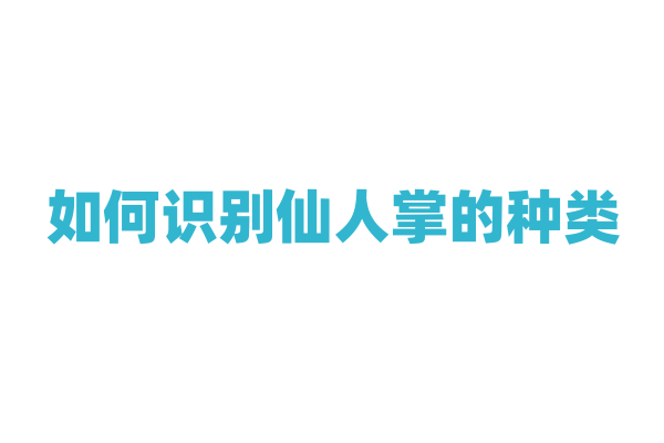 如何识别仙人掌的种类