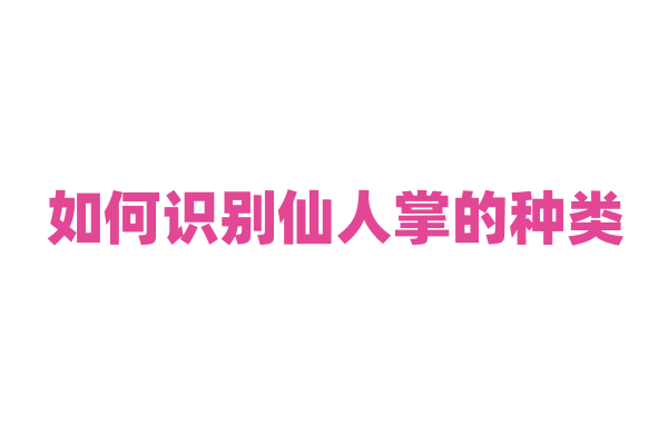 如何识别仙人掌的种类？