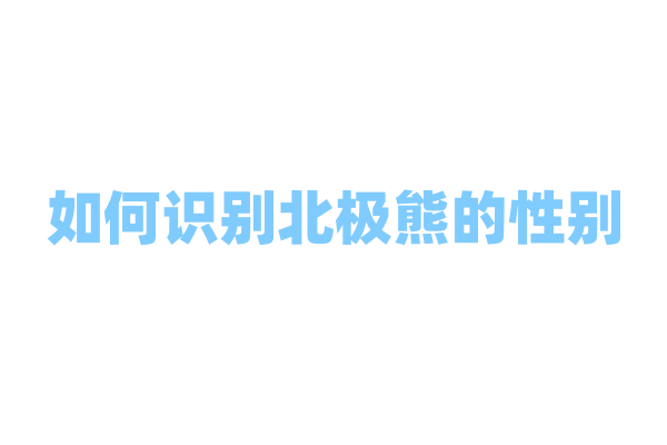 如何识别北极熊的性别