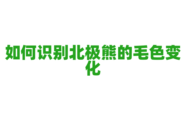 如何识别北极熊的毛色变化