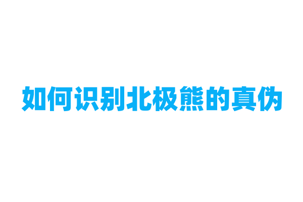 如何识别北极熊的真伪？
