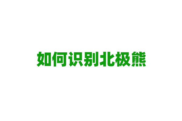 如何识别北极熊？