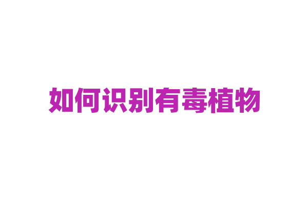 如何识别有毒植物