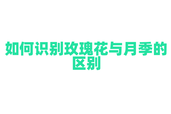 如何识别玫瑰花与月季的区别？