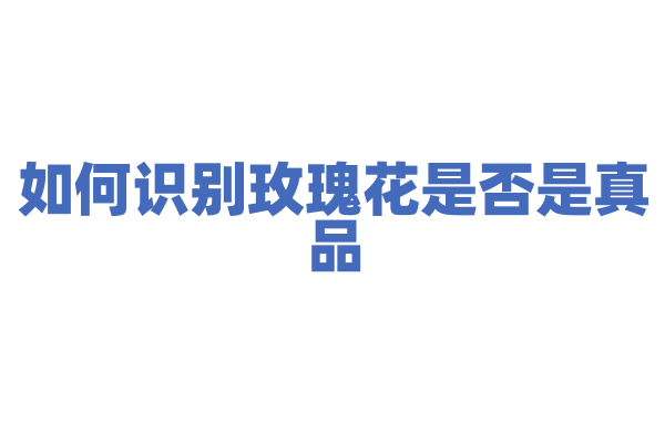 如何识别玫瑰花是否是真品？