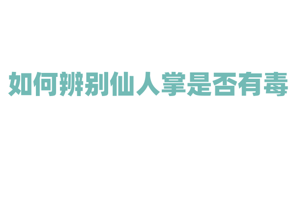 如何辨别仙人掌是否有毒？