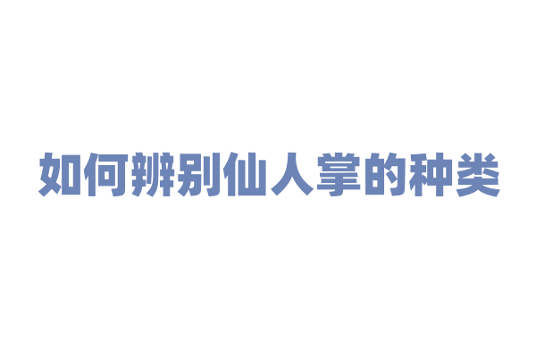 如何辨别仙人掌的种类？