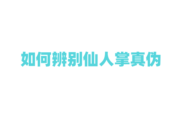 如何辨别仙人掌真伪
