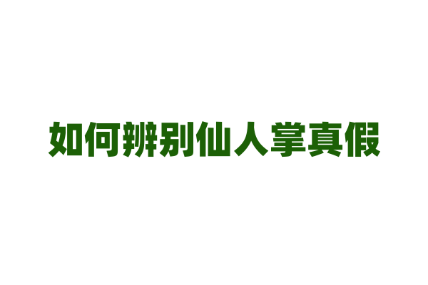 如何辨别仙人掌真假？