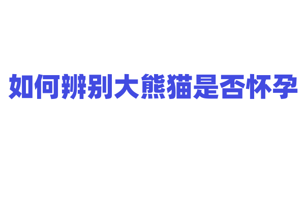 如何辨别大熊猫是否怀孕