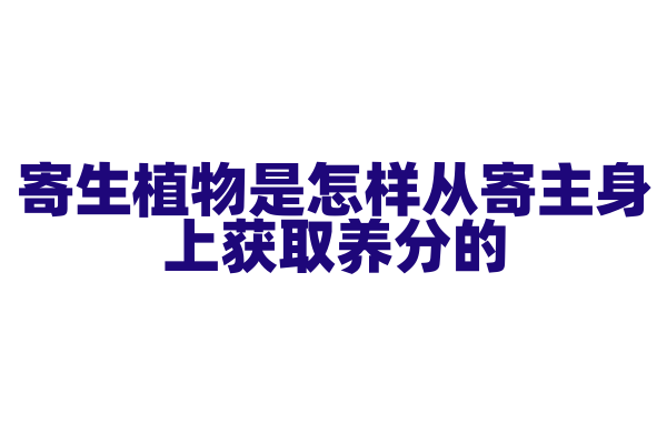 寄生植物是怎样从寄主身上获取养分的？