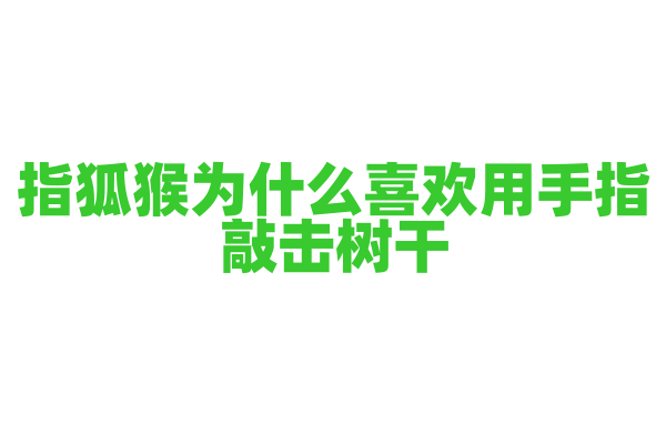 指狐猴为什么喜欢用手指敲击树干，它的这种行为和觅食有什么关系？