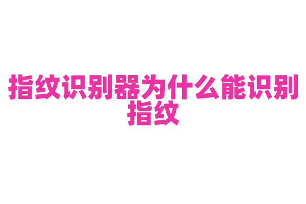 指纹识别器为什么能识别指纹，它的识别原理和安全性能有什么要点？