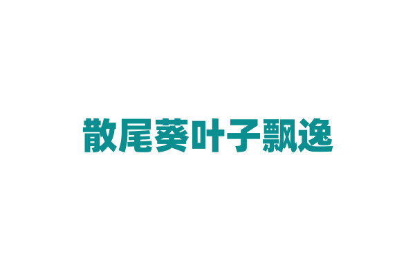 散尾葵叶子飘逸，怎样保持它的美观？