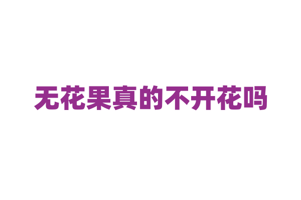无花果真的不开花吗，它的花藏在哪里？