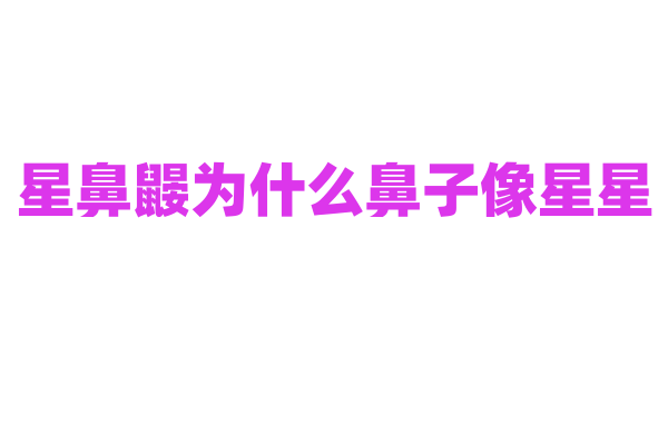 星鼻鼹为什么鼻子像星星，它的鼻子有什么特殊功能？