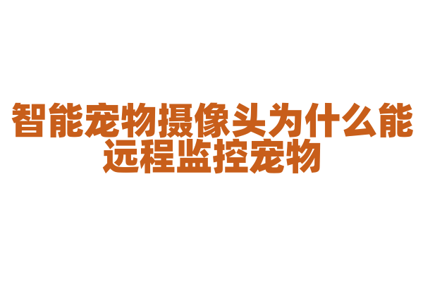 智能宠物摄像头为什么能远程监控宠物，它的监控和互动技术有什么要点？