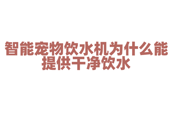 智能宠物饮水机为什么能提供干净饮水，它的过滤和循环技术有什么要点？