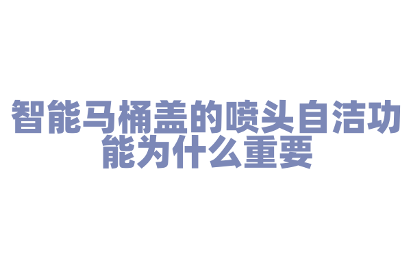 智能马桶盖的喷头自洁功能为什么重要，喷头自洁的原理和卫生保障是怎样的？