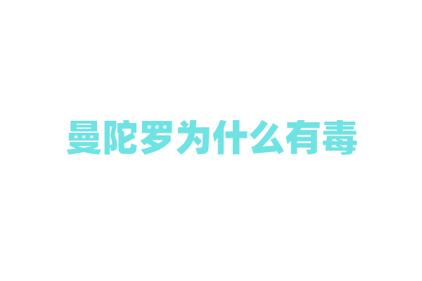 曼陀罗为什么有毒，它的毒性成分在医学上有什么用途？