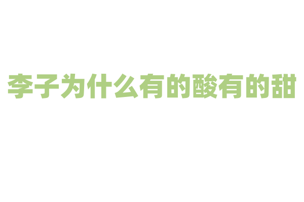李子为什么有的酸有的甜，果实糖分积累受什么因素控制？