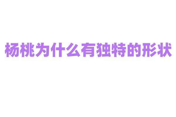 杨桃为什么有独特的形状，这种形状对其生长有什么影响？