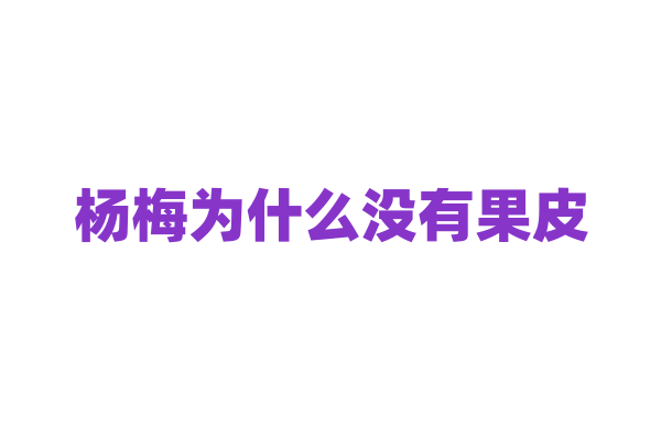 杨梅为什么没有果皮，它是如何保护自身果实的？