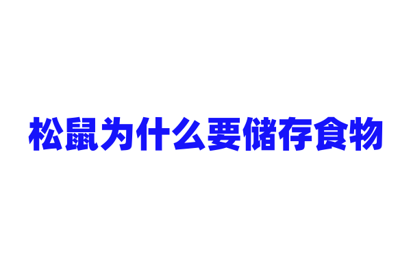 松鼠为什么要储存食物，它们是如何储存和寻找食物的？