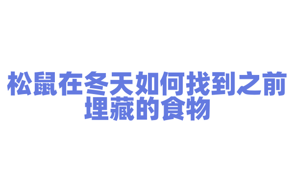 松鼠在冬天如何找到之前埋藏的食物？