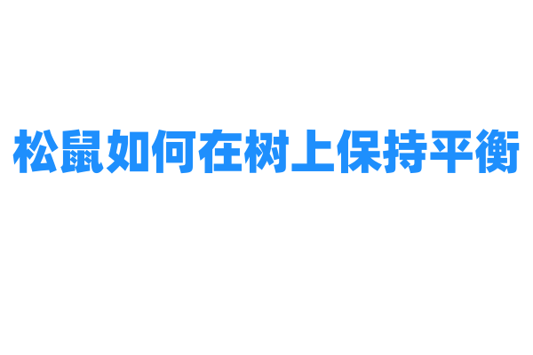 松鼠如何在树上保持平衡？