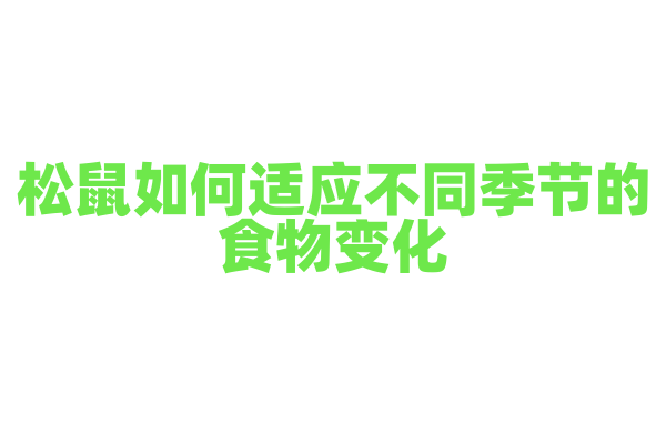松鼠如何适应不同季节的食物变化？